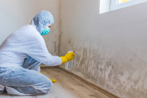 Licensed Crawl Space Mold Removal service in Acton, MA - WQB Mold Removal