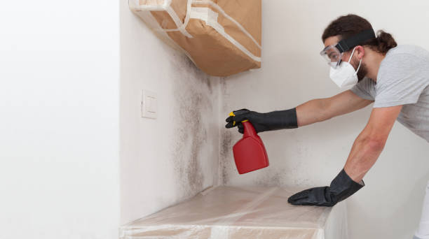 Professional Crawl Space Mold Removal technician working in Acton, MA