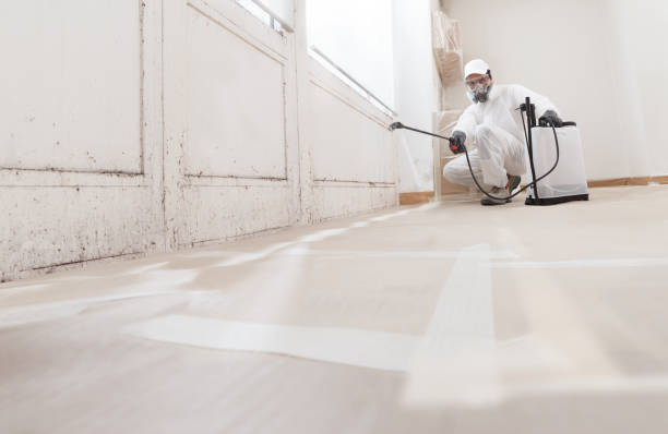 24/7 Emergency Crawl Space Mold Removal experts in Acton, MA