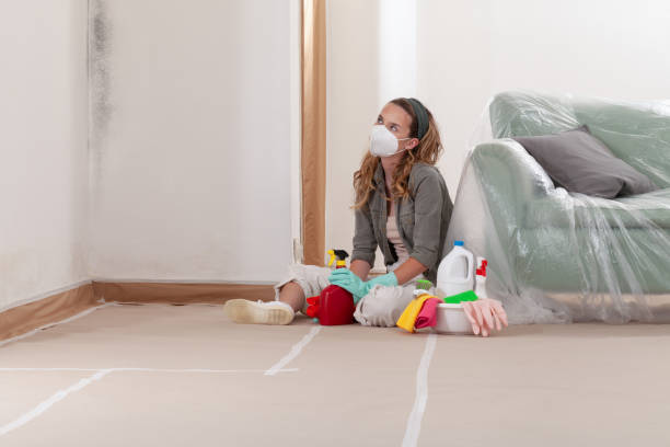 Reliable Crawl Space Mold Removal contractor in Acton, MA by WQB Mold Removal